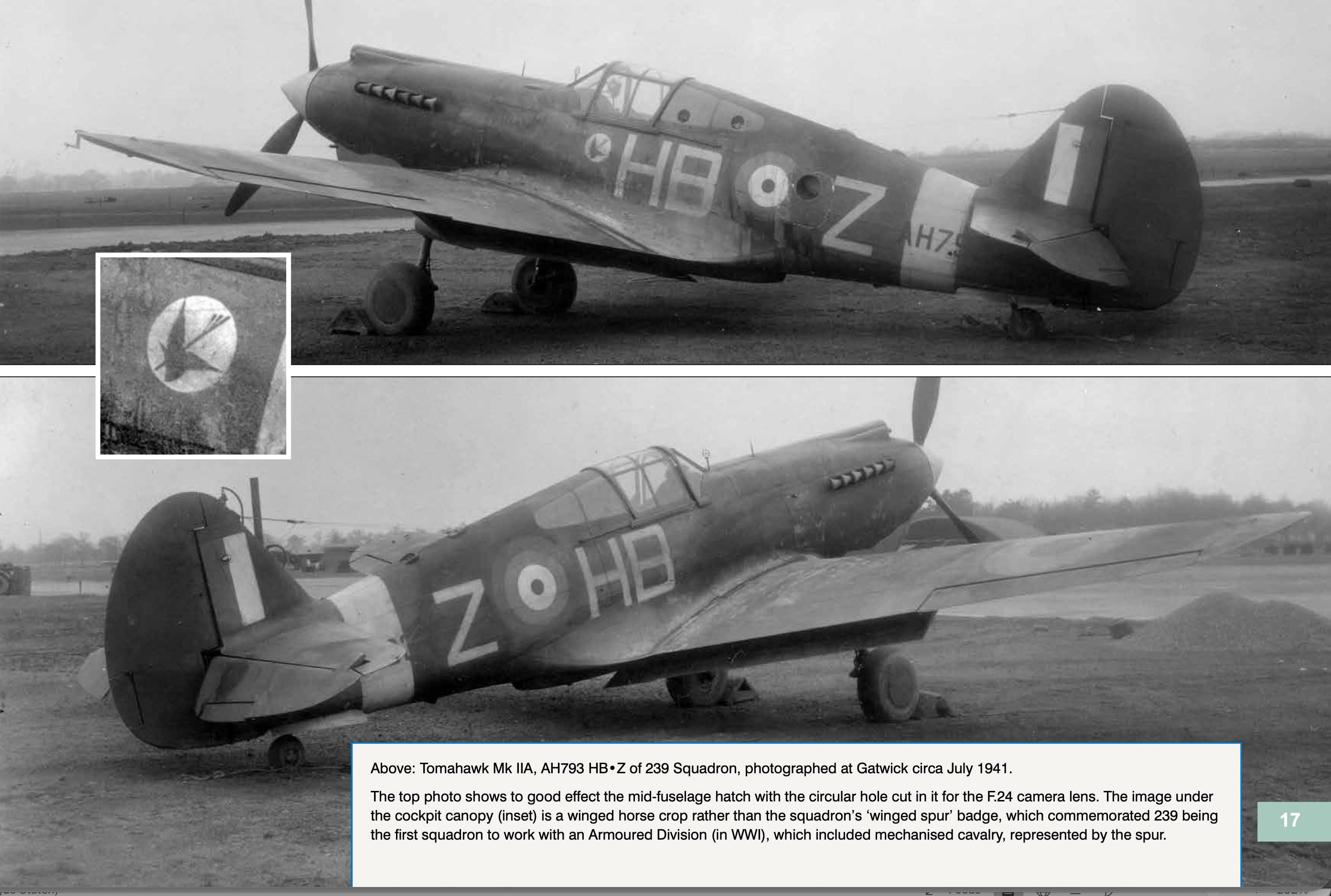 GWH 1/32 Hawk 81 as  RAF Tomahawk II Photo recon