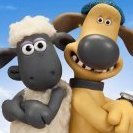 Andythesheep