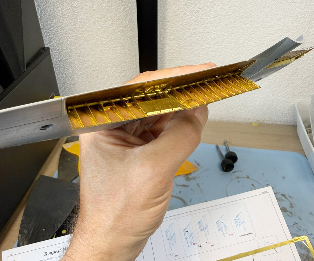 FLAPS.jpg